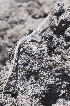  ( - FLI.0351)  @11 [ ] c  Unspecified Unspecified