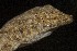  ( - FLI.0364)  @11 [ ] c  Unspecified Unspecified