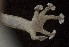  ( - FLI.0364)  @11 [ ] c  Unspecified Unspecified