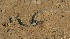  ( - FLI.0478)  @11 [ ] c  Unspecified Unspecified