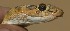  ( - FLI.0479)  @11 [ ] c  Unspecified Unspecified