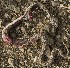  ( - FLI.0508)  @11 [ ] c  Unspecified Unspecified