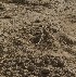  ( - FLI.0587)  @11 [ ] c  Unspecified Unspecified