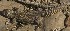  ( - FLI.0630)  @11 [ ] c  Unspecified Unspecified