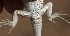  ( - FLI.0676)  @11 [ ] c  Unspecified Unspecified