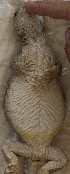  ( - FLI.0691)  @11 [ ] c  Unspecified Unspecified
