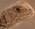  ( - FLI.0691)  @11 [ ] c  Unspecified Unspecified