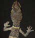  ( - FLI.0758)  @11 [ ] c  Unspecified Unspecified