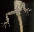  ( - FLI.0758)  @11 [ ] c  Unspecified Unspecified