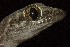  ( - FLI.0760)  @11 [ ] c  Unspecified Unspecified