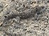  ( - FLI.0765)  @11 [ ] c  Unspecified Unspecified