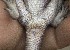  ( - FLI.0765)  @11 [ ] c  Unspecified Unspecified