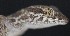  ( - FLI.0790)  @11 [ ] c  Unspecified Unspecified