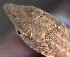  ( - FLI.0797)  @11 [ ] c  Unspecified Unspecified