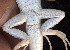  ( - FLI.0797)  @11 [ ] c  Unspecified Unspecified