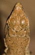  ( - FLI.0800)  @11 [ ] c  Unspecified Unspecified