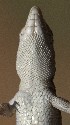  ( - FLI.0810)  @11 [ ] c  Unspecified Unspecified