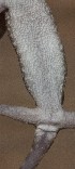  ( - FLI.0839)  @11 [ ] c  Unspecified Unspecified