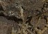  ( - FLI.0839)  @11 [ ] c  Unspecified Unspecified