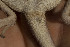  ( - FLI.0847)  @11 [ ] c  Unspecified Unspecified