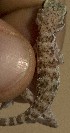  ( - FLI.0863)  @11 [ ] c  Unspecified Unspecified