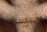  ( - FLI.0942)  @11 [ ] c  Unspecified Unspecified