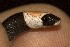  ( - FLI.0956)  @11 [ ] c  Unspecified Unspecified