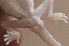  ( - FLI.1007)  @11 [ ] c  Unspecified Unspecified