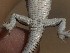  ( - FLI.1128)  @11 [ ] c  Unspecified Unspecified