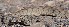  ( - JCB.0033)  @11 [ ] c  Unspecified Unspecified