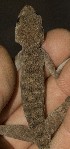  (Ptyodactylus - FLI.0162)  @11 [ ] c  Unspecified Unspecified
