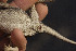  ( - FLI.0175)  @11 [ ] c  Unspecified Unspecified