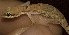  ( - FLI.0227)  @11 [ ] c  Unspecified Unspecified
