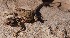  ( - MLA.0134)  @11 [ ] c  Unspecified Unspecified