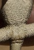  ( - MLA.0101)  @11 [ ] c  Unspecified Unspecified