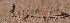  ( - MLA.0117)  @11 [ ] c  Unspecified Unspecified