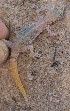  ( - MLA.0085)  @11 [ ] c  Unspecified Unspecified