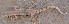  ( - MLA.0086)  @11 [ ] c  Unspecified Unspecified