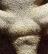  ( - FLI.0186)  @11 [ ] c  Unspecified Unspecified