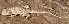  ( - FLI.0200)  @11 [ ] c  Unspecified Unspecified
