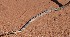  ( - JCB.0258)  @11 [ ] c  Unspecified Unspecified