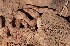  ( - FLI.0661)  @11 [ ] c  Unspecified Unspecified