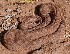  ( - JCB.0120)  @11 [ ] c  Unspecified Unspecified