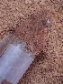  ( - JCB.0120)  @11 [ ] c  Unspecified Unspecified