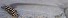  (Ophisops - DVG.0109)  @11 [ ] c  Unspecified Unspecified