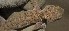  ( - FLI.0206)  @11 [ ] c  Unspecified Unspecified
