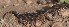  ( - MLA.0056)  @11 [ ] c  Unspecified Unspecified
