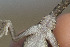  ( - MLA.0056)  @11 [ ] c  Unspecified Unspecified