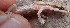  ( - JCB.0024)  @11 [ ] c  Unspecified Unspecified