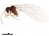  ( - BIOUG34592-H03)  @11 [ ] CreativeCommons - Attribution (2017) CBG Photography Group Centre for Biodiversity Genomics